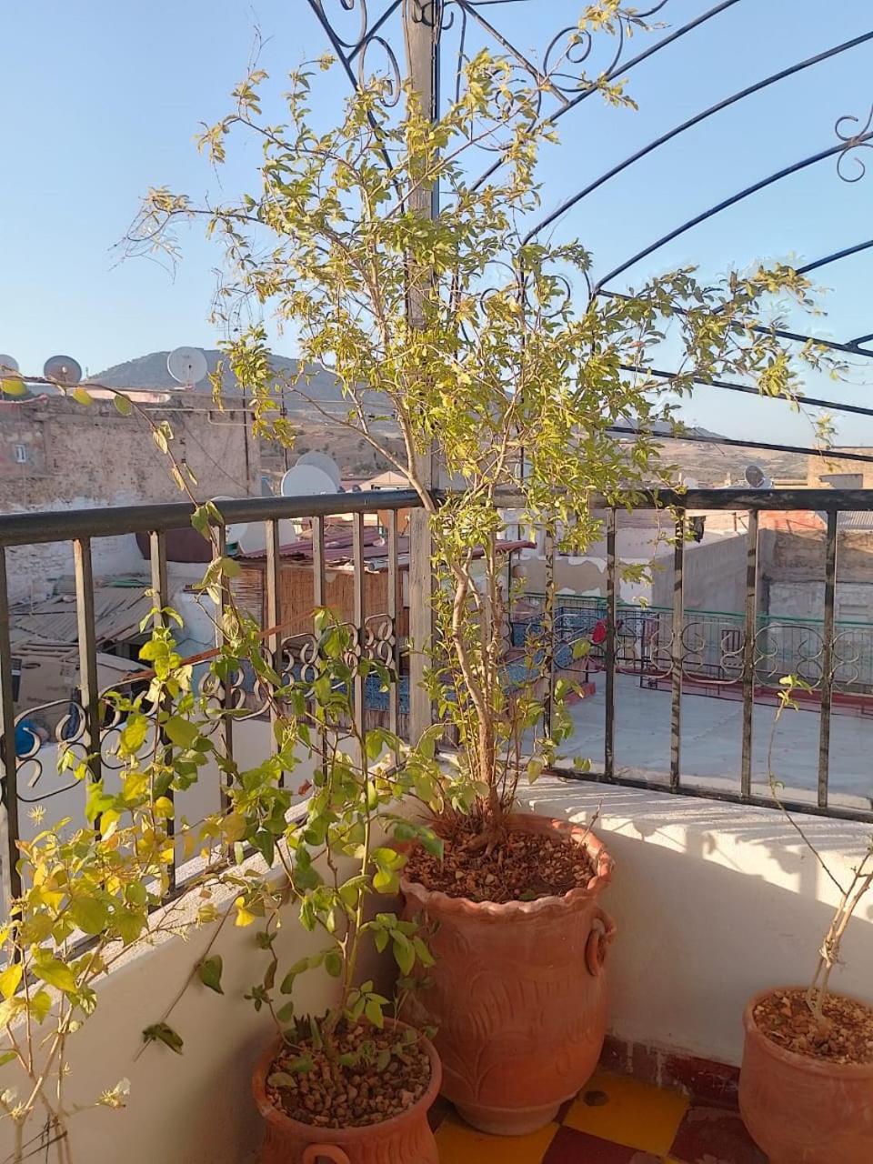 Riad Drissia Panoramic Fez Exterior foto